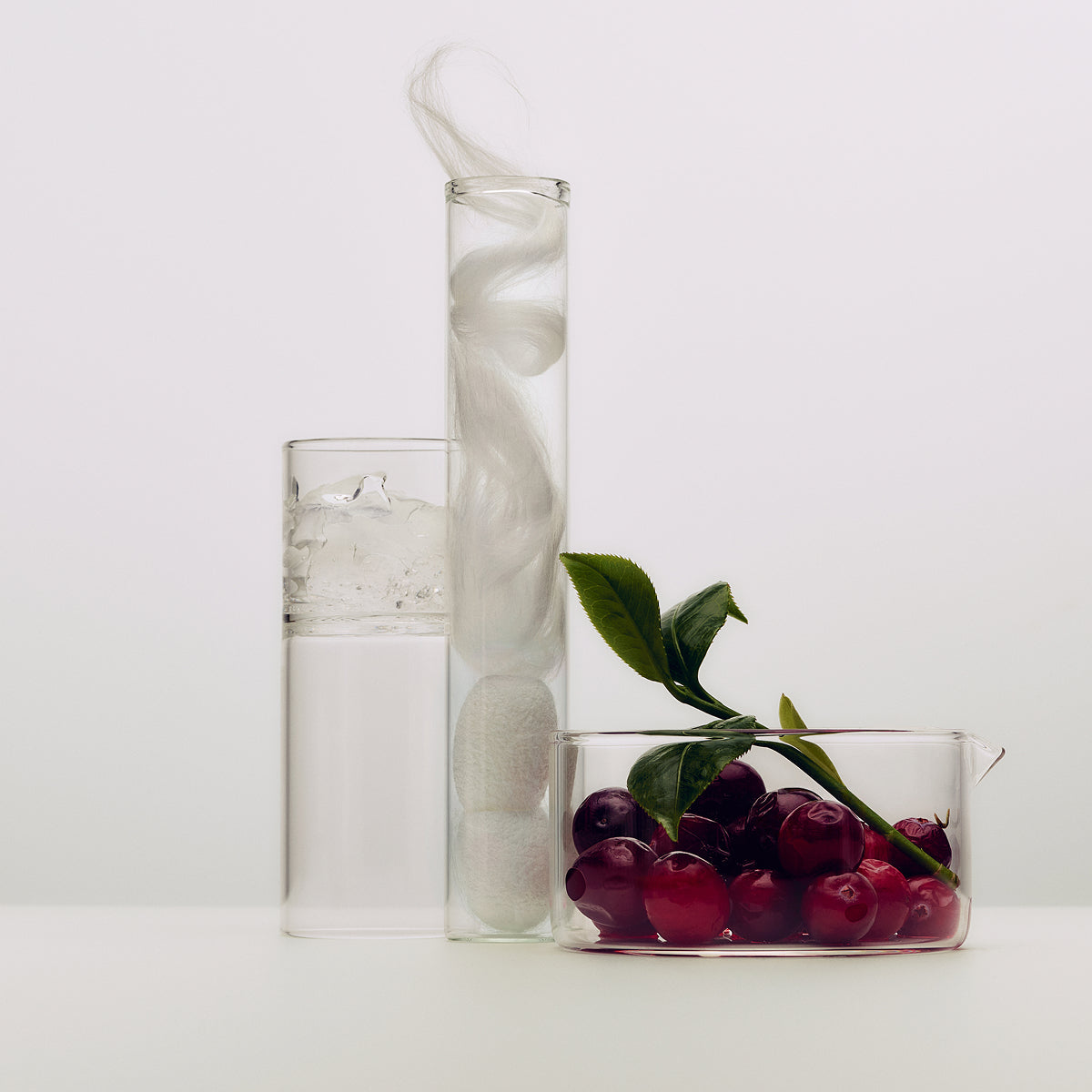 SilkSerum-Aug26-Ppage-Ingredients.jpg